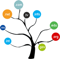 Alan adı ( Domain ) seçimi nasıl olmalıdır ve Seo’ya etkisi nedir ?